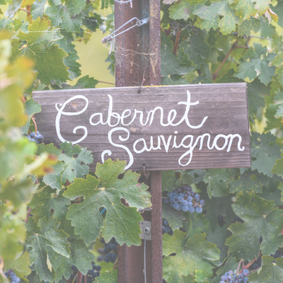 Cabernet Sauvignon: A Taste of Canadian Terroir