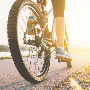 Power Assisted Bike Rental